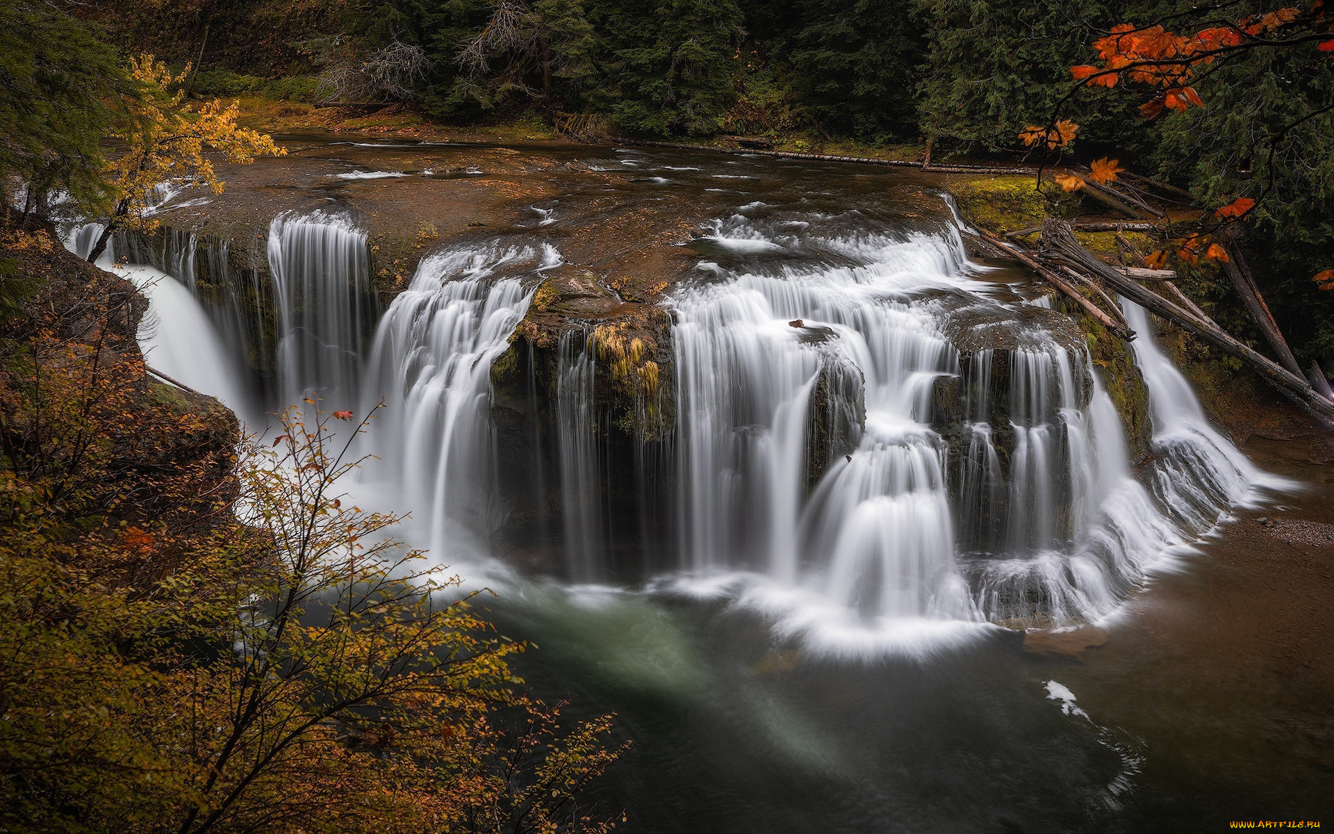 the lower lewis river falls, usa, , , the, lower, lewis, river, falls